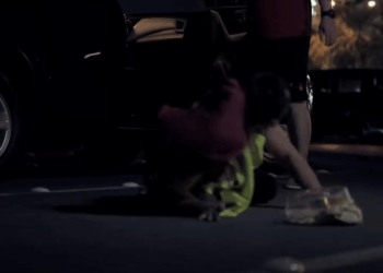 [MGA EPISOD] 262P0808 cake